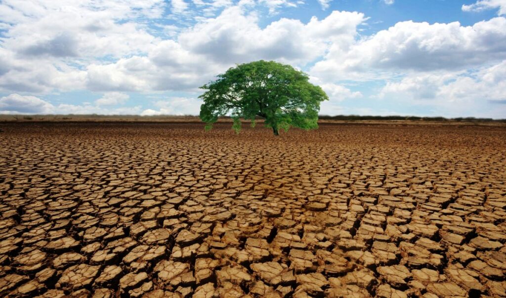 L’adattamento al cambiamento climatico: il rapporto dell’European Scientific Advisory Board