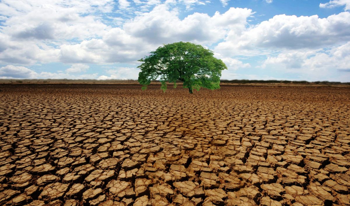 L'adattamento al cambiamento climatico: il rapporto dell'European Scientific Advisory Board