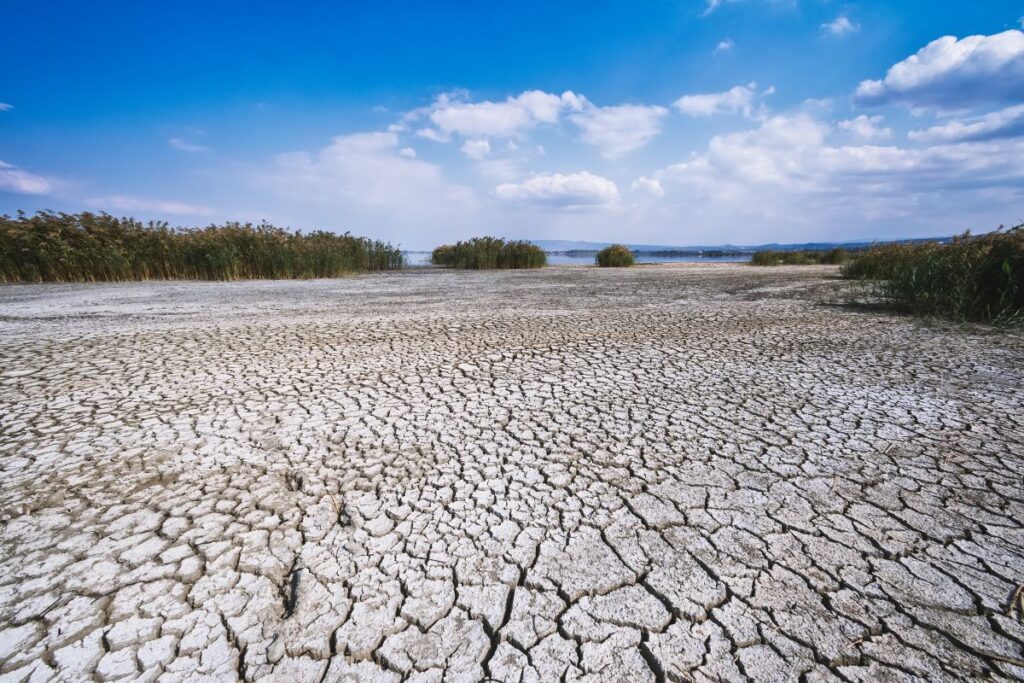 Crisi climatica, allarme ONU: mai così squilibrato il bilancio energetico della Terra