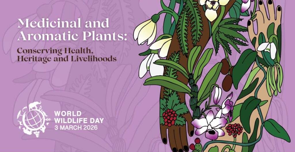 3 marzo: Giornata mondiale della natura (World Wildlife Day). Nel 2026 focus su piante medicinali e aromatiche