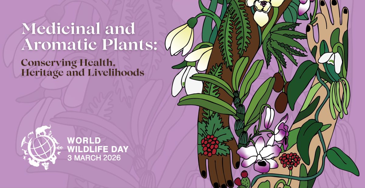 3 marzo: Giornata mondiale della natura (World Wildlife Day). Nel 2026 focus su piante medicinali e aromatiche