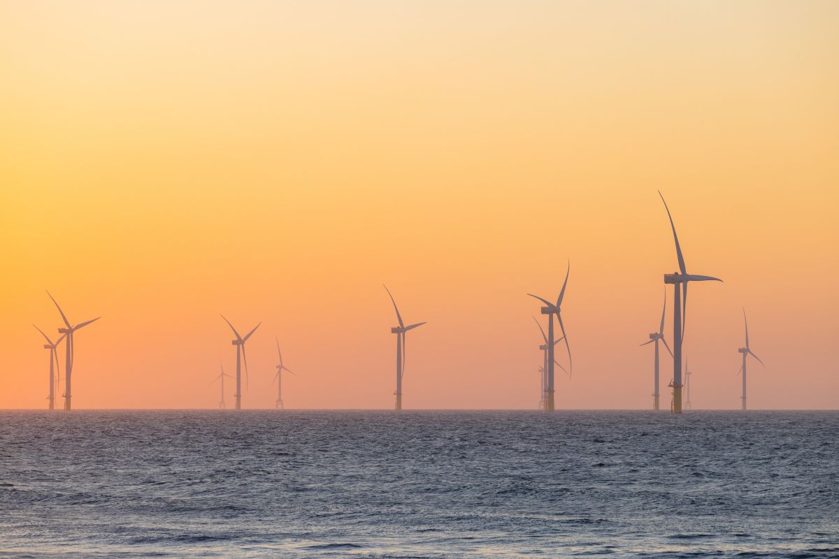 Eolico offshore in Italia: la scure del Governo, le prospettive del settore