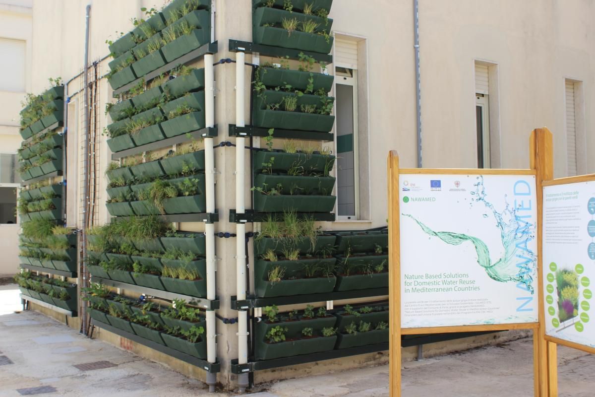 La Parete Verde a Ferla (2022) 