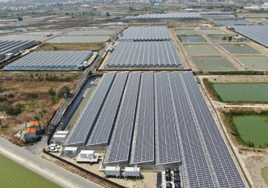 FIMER e SunnyRich Group insieme per il più grande parco di acquacoltura solare SPF al mondo