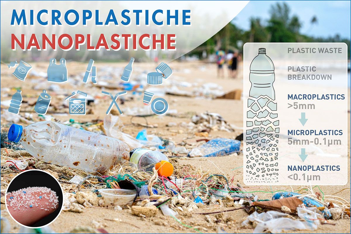Microplastiche e Nanoplastiche: diffusione, effetti sulla salute e sull’ambiente delle plastiche “invisibili” che divorano il mondo