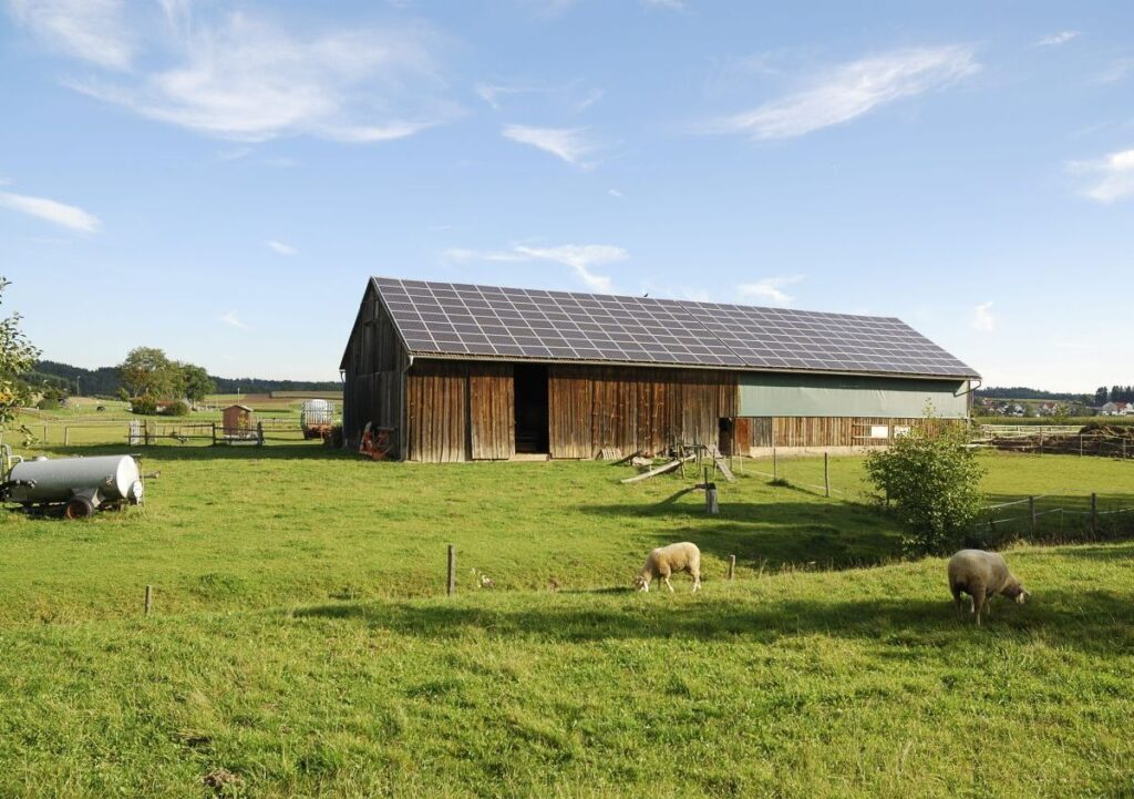 Parco Agrisolare PNRR: aggiornate le modalità di rendicontazione. Scadenza al 30 giugno 2026