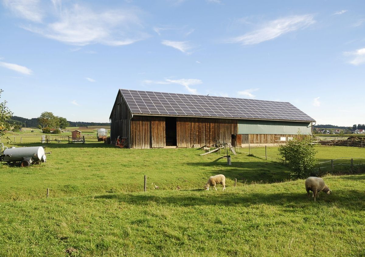 Parco Agrisolare PNRR: aggiornate le modalità di rendicontazione. Scadenza al 30 giugno 2026