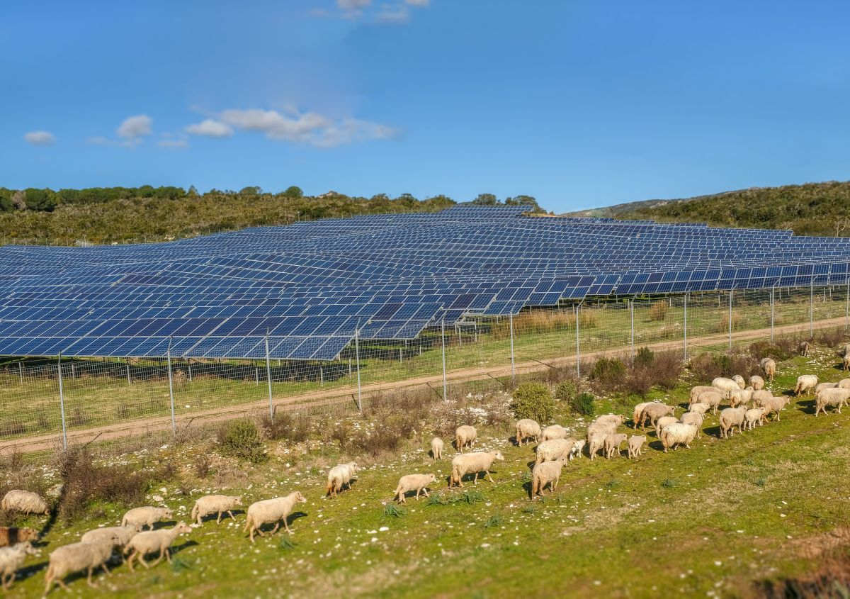 Rinnovabili, la Consulta boccia il blocco delle autorizzazioni nelle aree non idonee della Sardegna