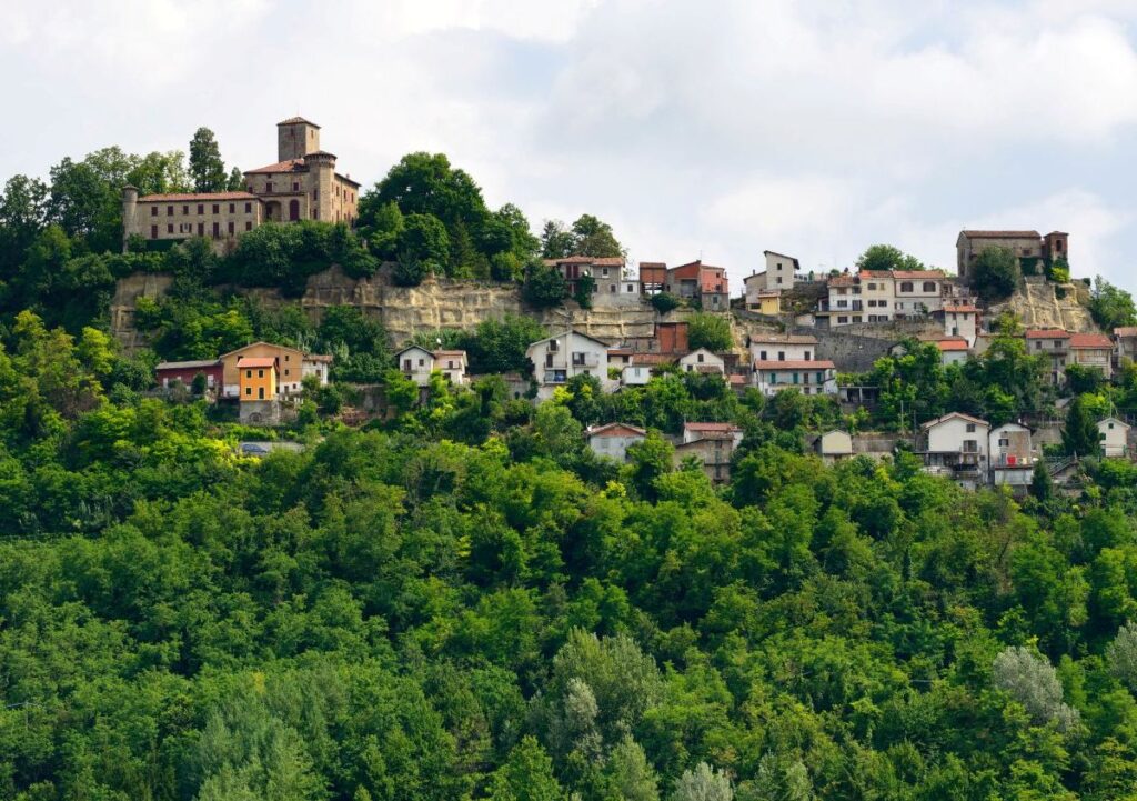 Foreste nei Comuni italiani: un patrimonio verde da valorizzare
