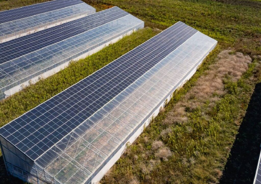 Energia rinnovabile in comunità, al centro della prima CER agricola della Liguria