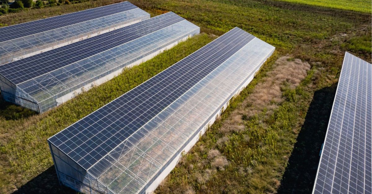 Energia rinnovabile in comunità, al centro della prima CER agricola della Liguria
