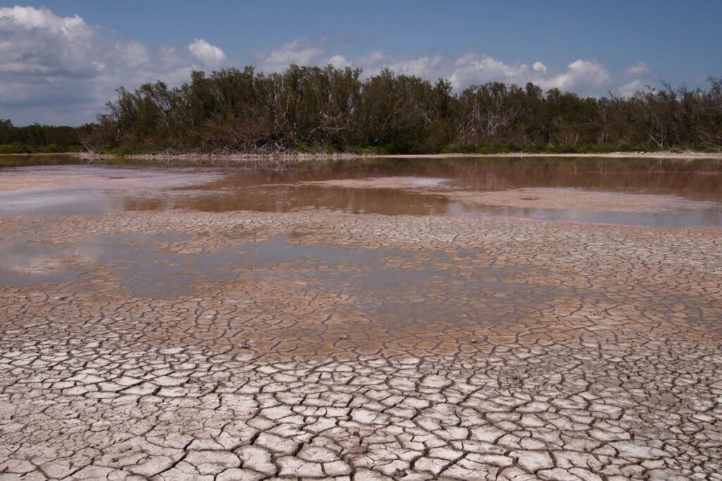 El Niño si rafforza con impatti fino al 2027