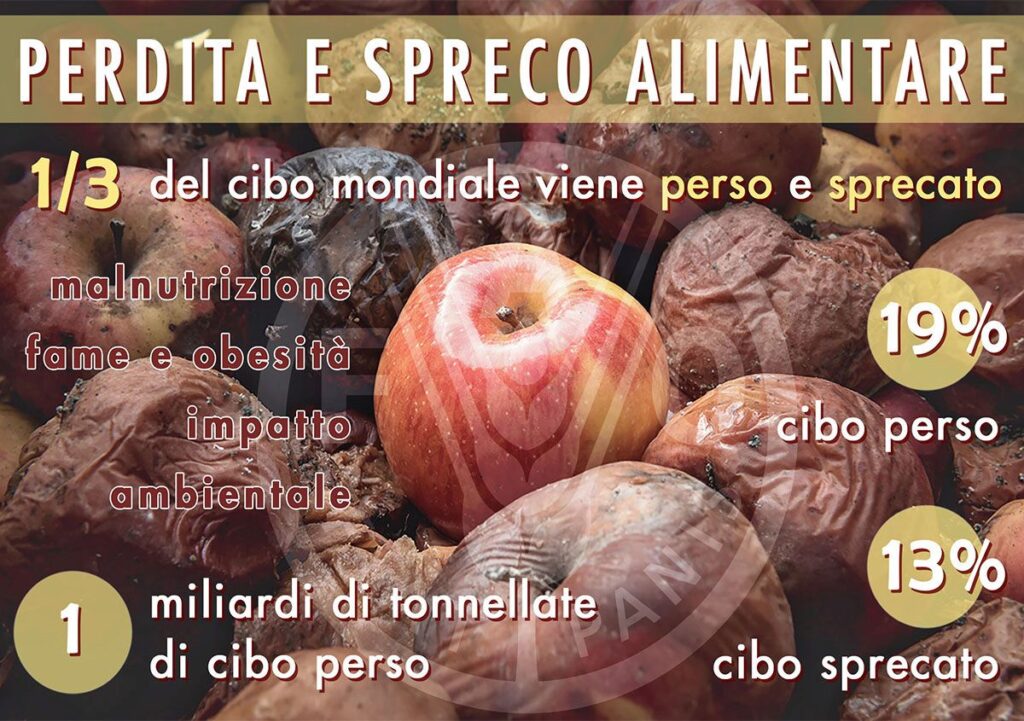 Spreco alimentare e perdita: il paradosso della malnutrizione. Impatto ambientale, economico e sociale