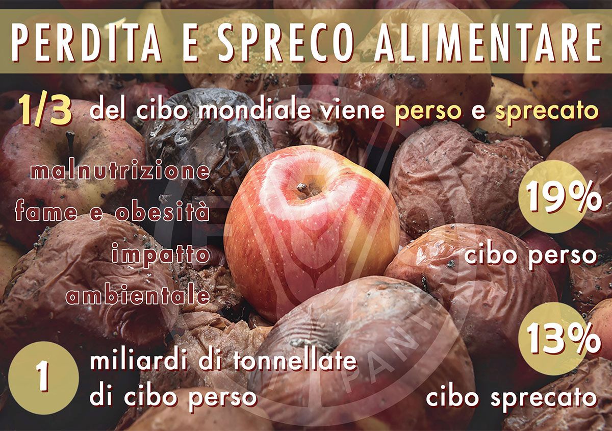 Spreco alimentare e perdita: il paradosso della malnutrizione. Impatto ambientale, economico e sociale