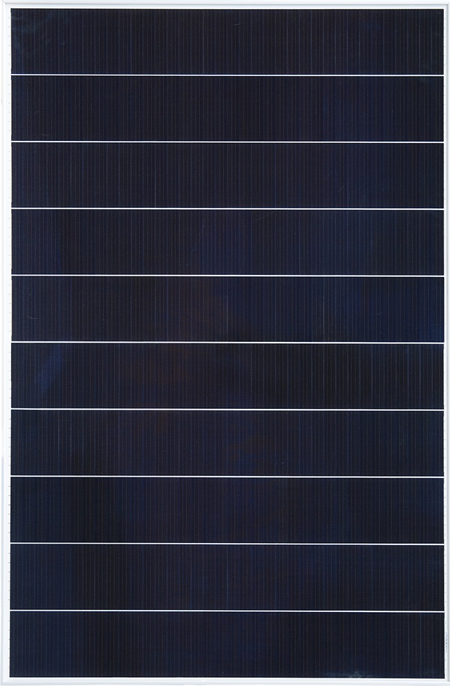 Vitovolt 300 M-WG Pannello fotovoltaico monocristallino ad alta efficienza di Viessmann